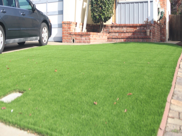 Fake Grass Carpet Industry, California Landscape Design, Front Yard Landscape Ideas