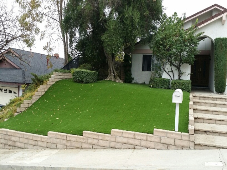 Fake Grass Carpet Lakeside, California Landscape Design, Front Yard Landscaping