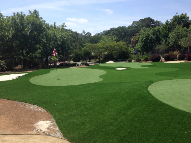 Fake Grass Carpet Lomita, California Indoor Putting Greens, Front Yard Landscaping Ideas