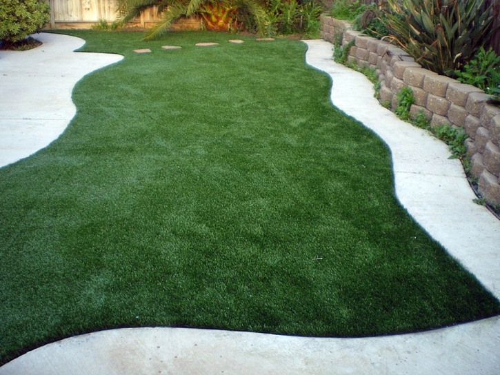 Fake Grass Carpet Quartz Hill, California Lawn And Garden, Backyards