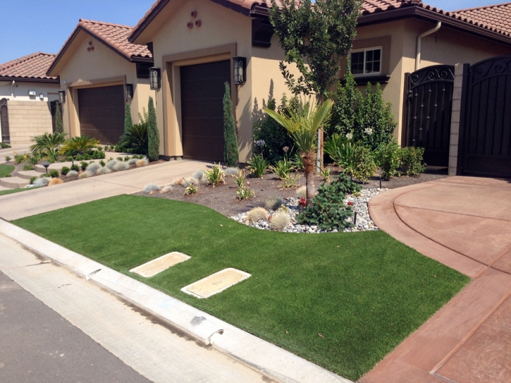 Fake Grass Carpet San Clemente, California Landscape Design, Front Yard Landscaping Ideas