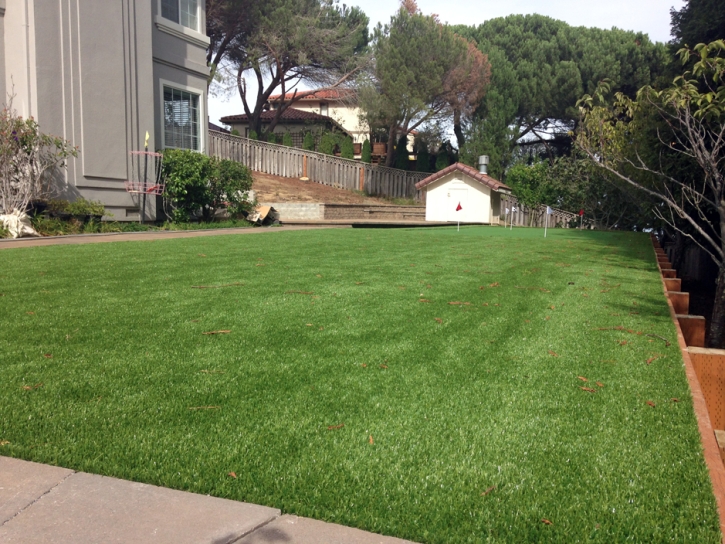 Fake Grass El Rio, California Indoor Putting Green, Backyard Garden Ideas