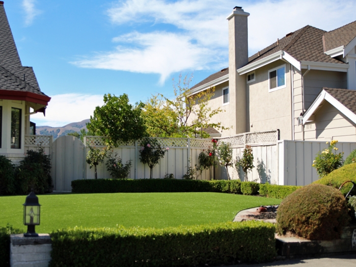 Fake Grass Imperial Beach, California Rooftop, Front Yard Landscaping