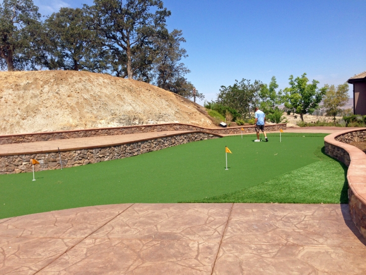 Fake Grass Oak Glen, California Artificial Putting Greens, Backyard