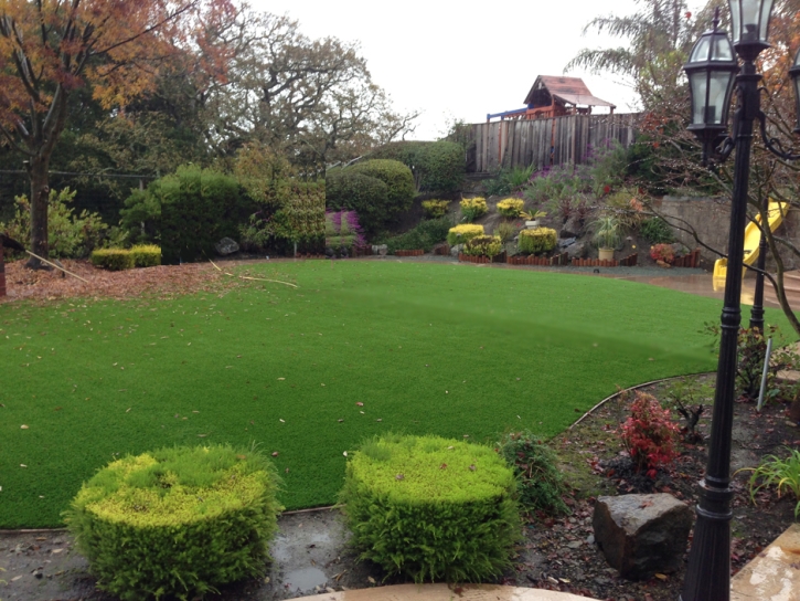 Fake Grass Oildale, California Roof Top, Backyard Design