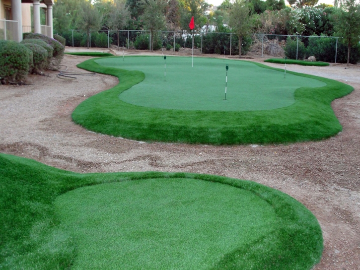 Fake Grass , Putting Green Turf, Backyard Design