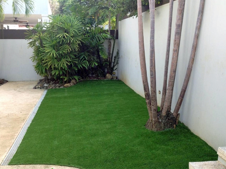 Fake Grass Rosamond, California Rooftop, Backyard Designs