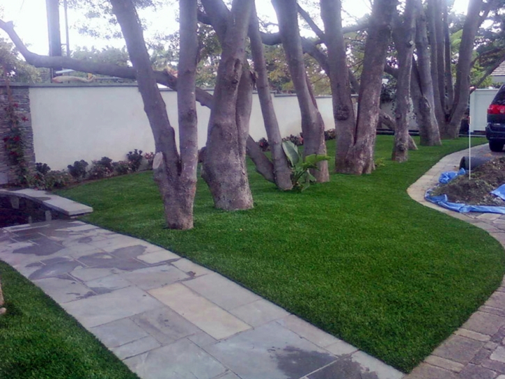 Fake Lawn Casa Conejo, California City Landscape, Front Yard Landscape Ideas