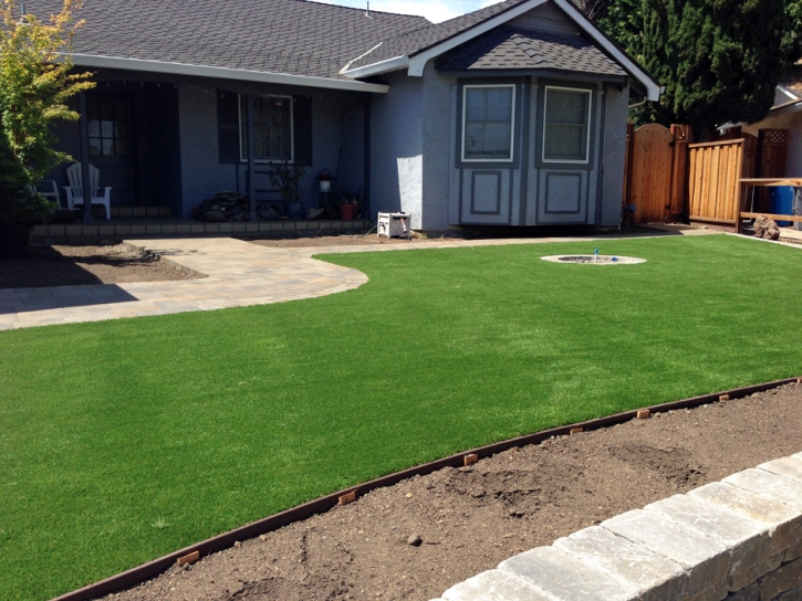 Fake Lawn Corona, California Design Ideas, Small Front Yard Landscaping