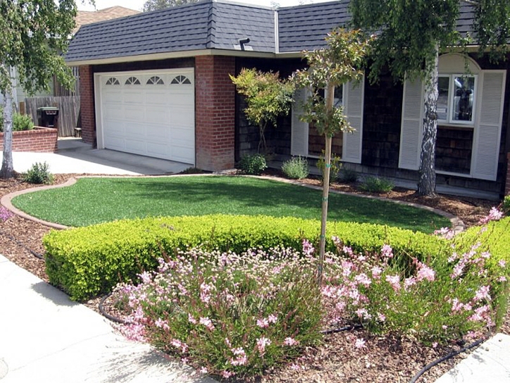 Fake Lawn Good Hope, California Backyard Playground, Front Yard Landscaping Ideas