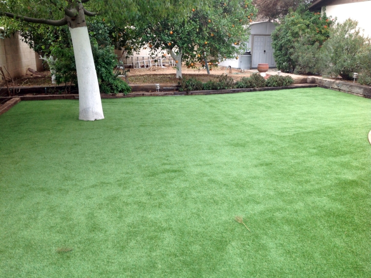 Fake Lawn Green Valley, California Garden Ideas, Backyard Landscaping