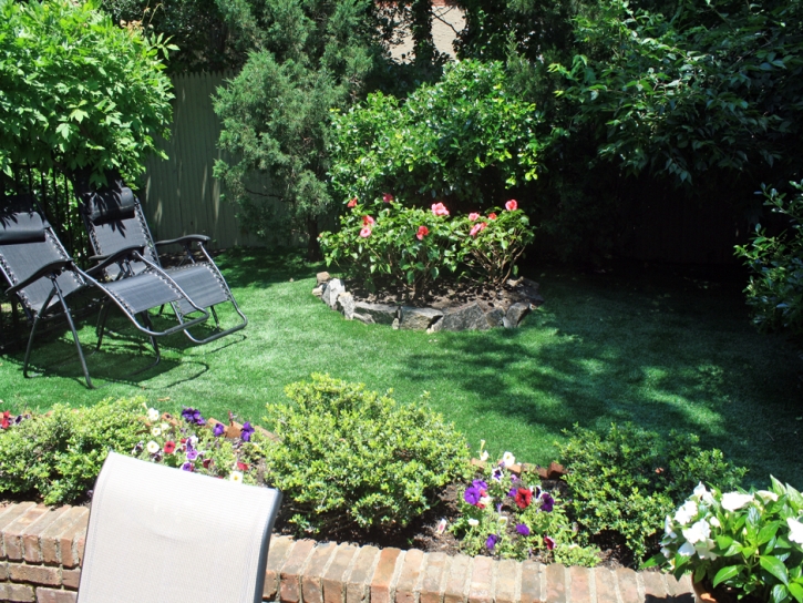 Fake Lawn Lakeview, California Roof Top, Backyard Garden Ideas