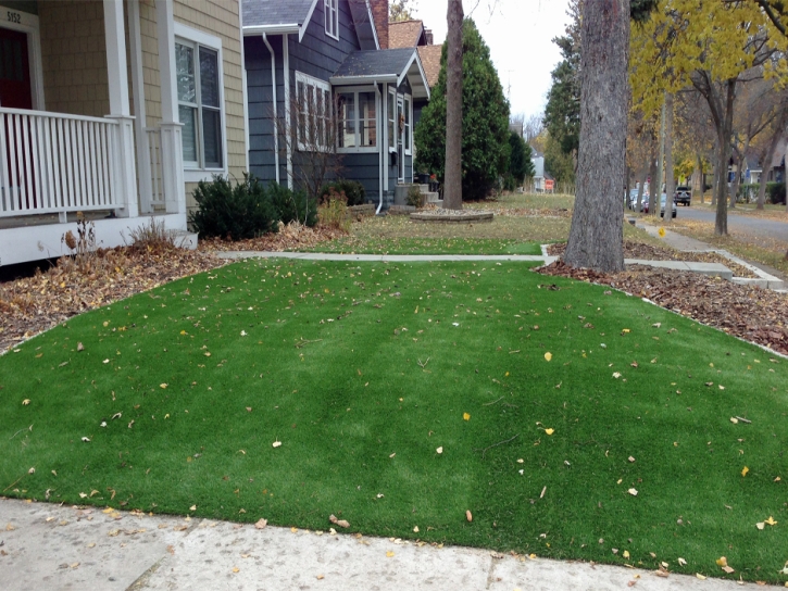 Fake Lawn Wildomar, California Landscape Ideas, Front Yard Landscape Ideas