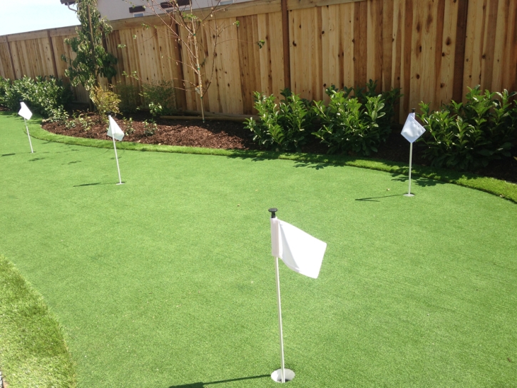 Fake Turf Anza, California Putting Greens, Backyard