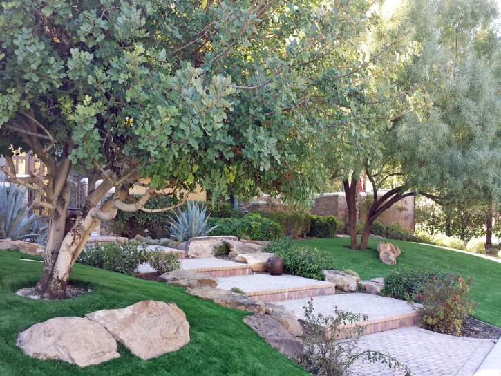 Fake Turf Avalon, California Backyard Playground, Backyard Landscape Ideas