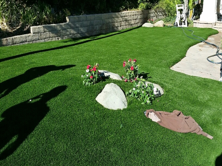 Fake Turf Coronado, California Garden Ideas, Front Yard Landscape Ideas