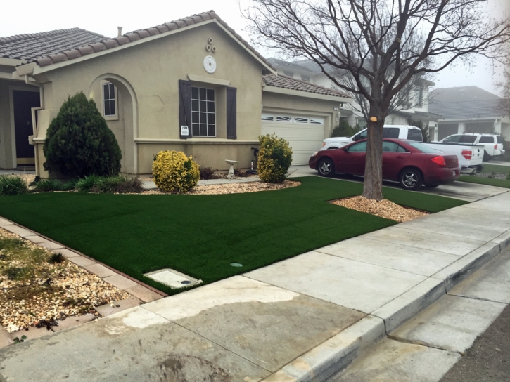 Fake Turf Culver City, California Landscape Design, Front Yard