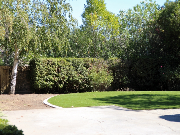 Fake Turf Harbison Canyon, California City Landscape, Backyard