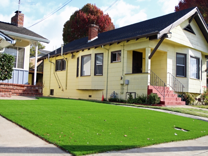 Fake Turf Inglewood, California Landscaping, Front Yard Landscaping