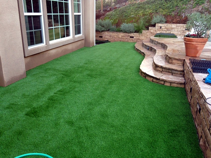 Fake Turf San Marino, California City Landscape, Backyard Landscaping Ideas