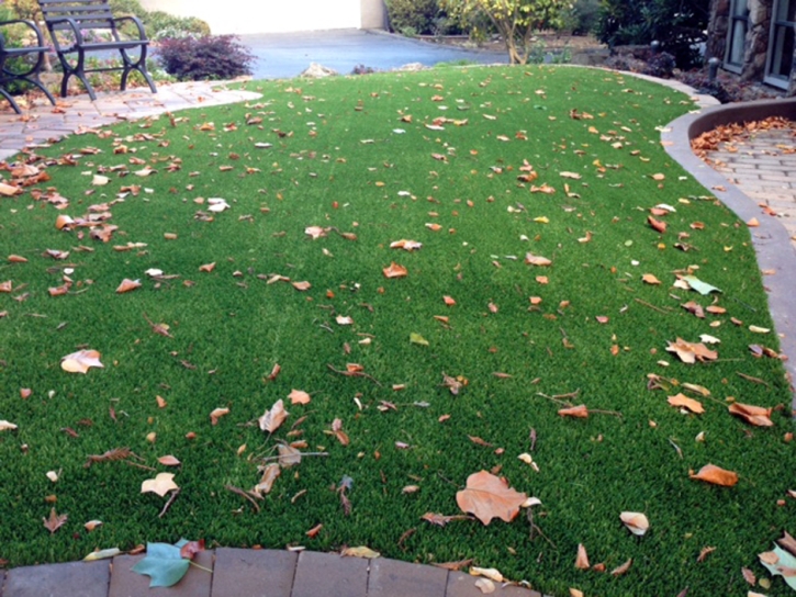 Fake Turf Tecopa, California Lawns, Landscaping Ideas For Front Yard