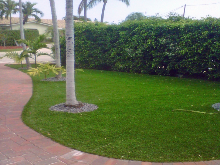 Fake Turf Torrance, California Lawns, Front Yard Landscaping