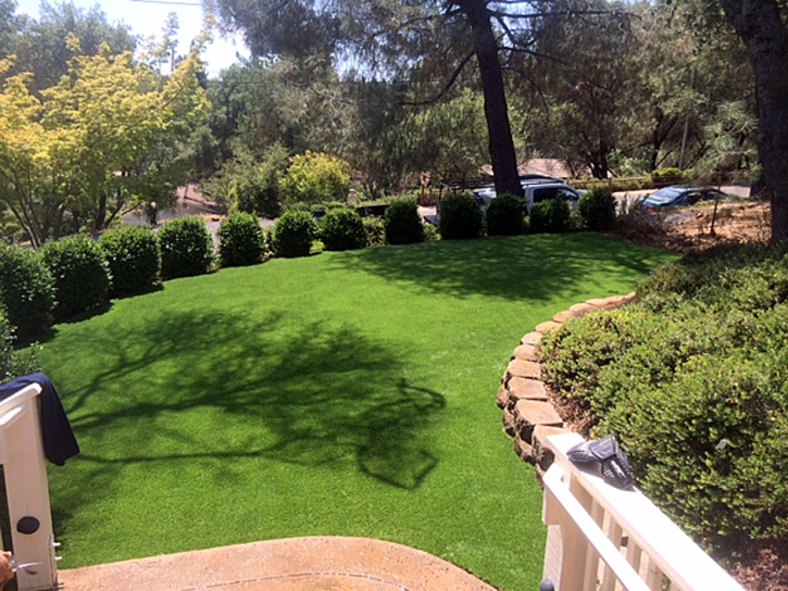 Faux Grass Baker, California Lawn And Landscape, Backyard Garden Ideas