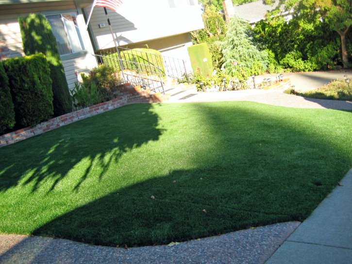 Faux Grass Bombay Beach, California Landscape Photos, Small Front Yard Landscaping