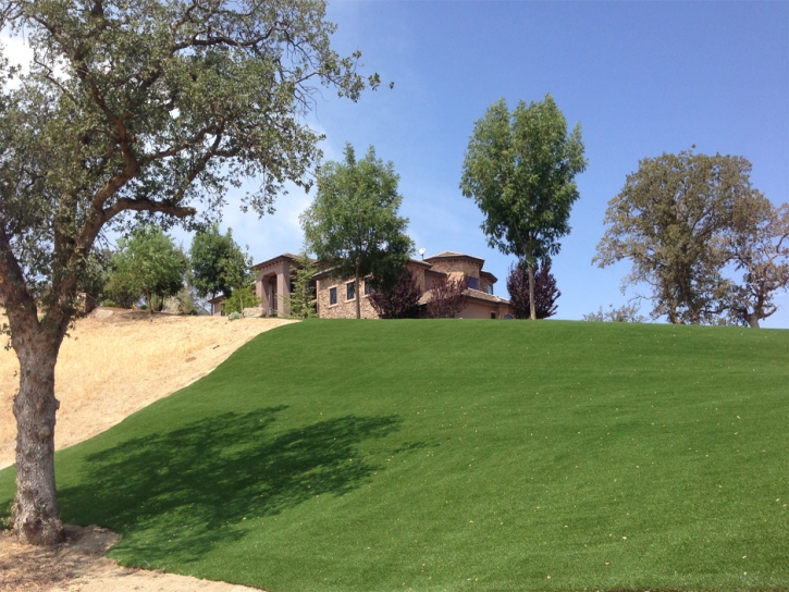 Faux Grass Downey, California Backyard Deck Ideas, Front Yard Ideas