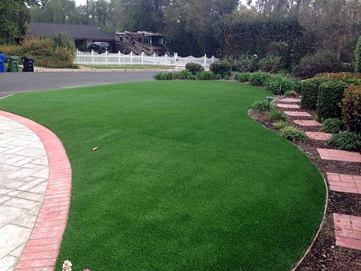 Faux Grass Perris, California Garden Ideas, Front Yard Design