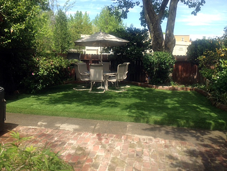 Faux Grass Sisquoc, California Garden Ideas, Backyard Ideas