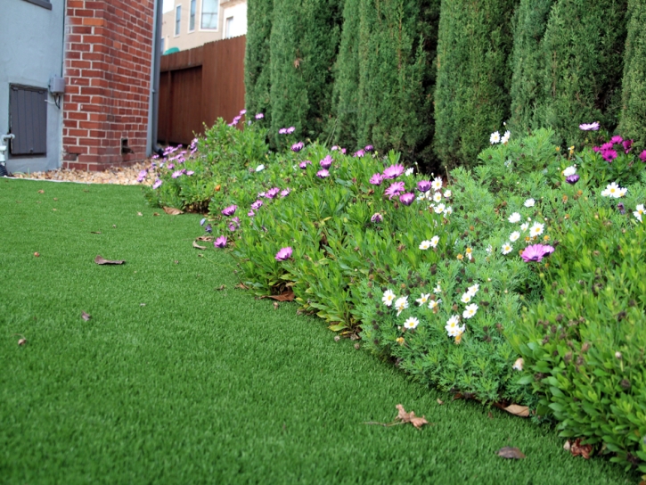 Faux Grass West Rancho Dominguez, California Landscaping Business, Landscaping Ideas For Front Yard