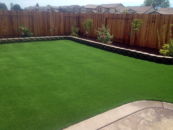 Grass Carpet Derby Acres, California Landscape Ideas, Backyard Designs