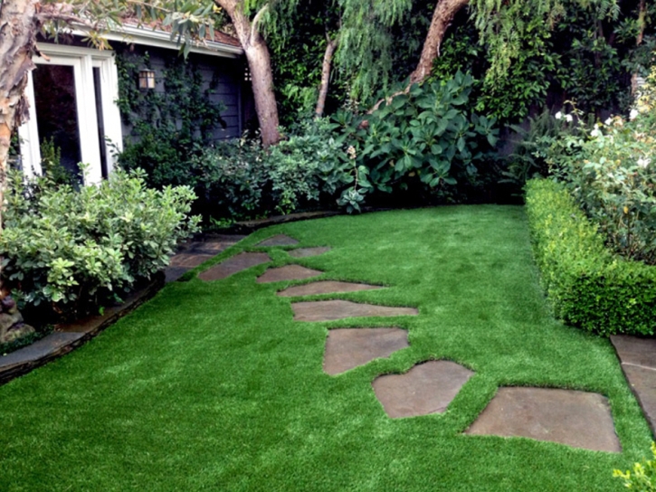 Grass Carpet Irvine, California Backyard Playground, Pavers