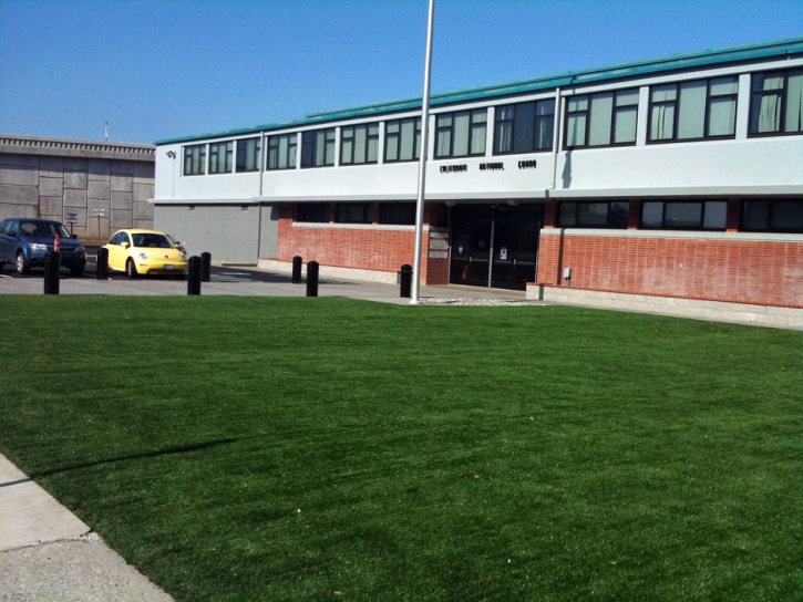 Grass Carpet , Landscaping, Commercial Landscape