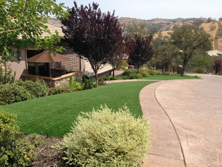 Grass Carpet Ontario, California Gardeners, Front Yard Landscaping