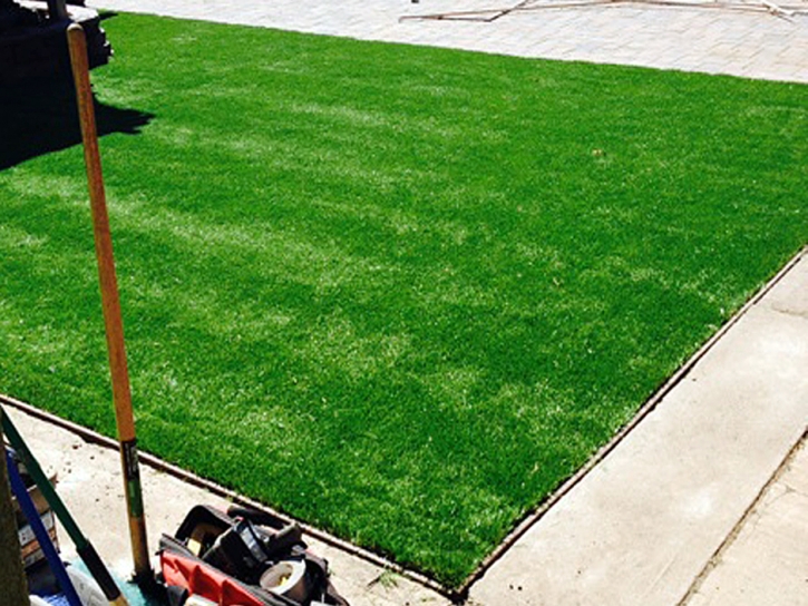 Grass Carpet San Pasqual, California Landscape Rock