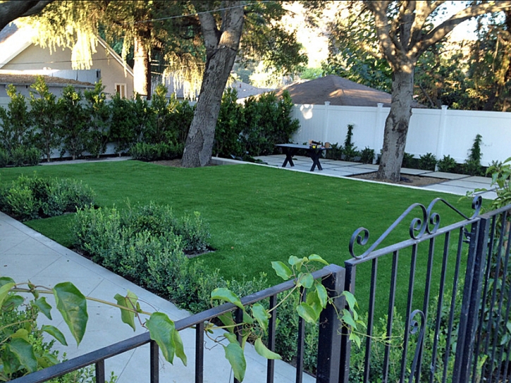 Grass Carpet West Whittier-Los Nietos, California Design Ideas, Small Front Yard Landscaping