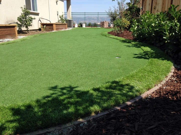 Grass Installation Bellflower, California Lawn And Garden, Backyard