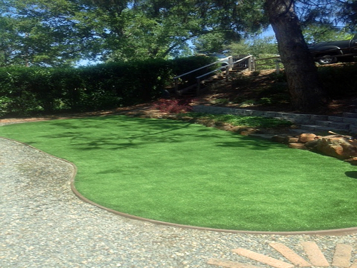 Grass Installation Los Alamos, California City Landscape, Backyard Landscaping Ideas