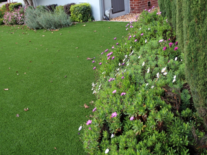 Grass Installation Mira Loma, California Lawns, Front Yard Design