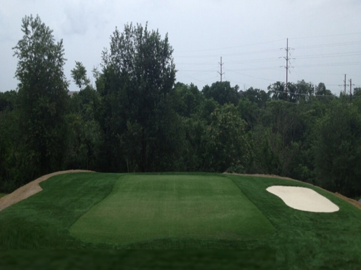 Grass Turf Gardena, California How To Build A Putting Green, Beautiful Backyards