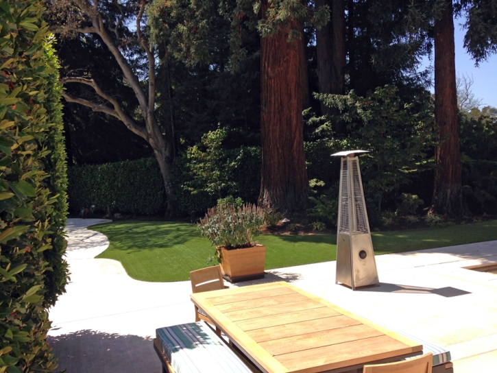 Grass Turf Montecito, California Lawn And Landscape, Backyard Design