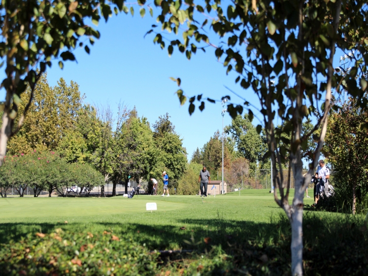 Green Lawn Camarillo, California Putting Green Grass