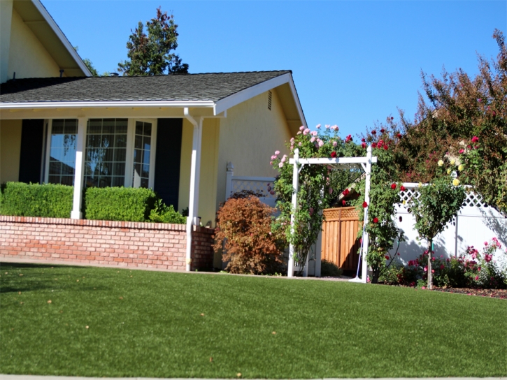 Green Lawn El Cajon, California City Landscape, Front Yard Landscape Ideas