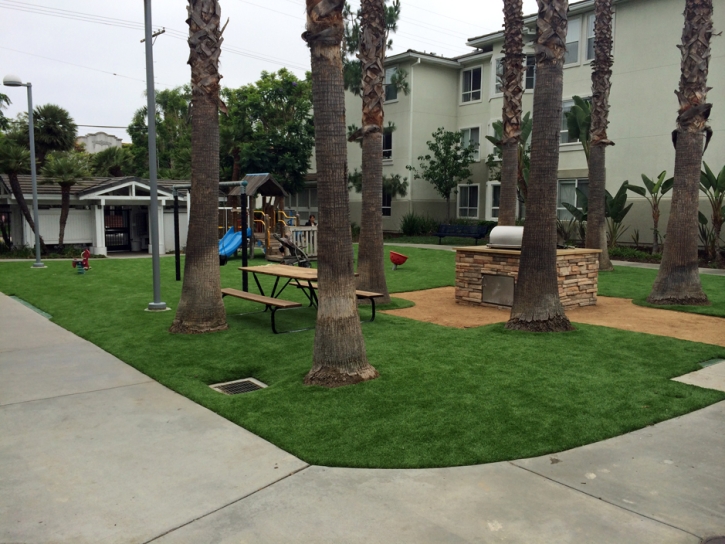 Green Lawn , Landscaping, Commercial Landscape