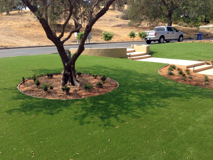 Green Lawn Las Flores, California Roof Top, Front Yard Landscape Ideas