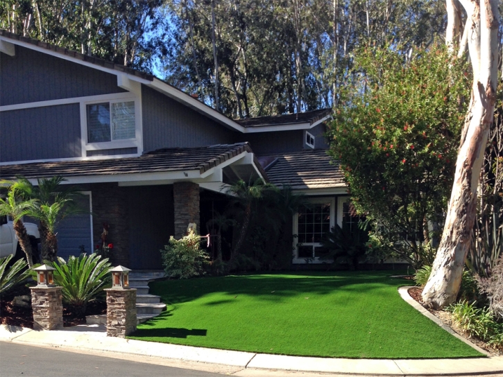 Green Lawn Pedley, California Lawns, Front Yard Landscaping