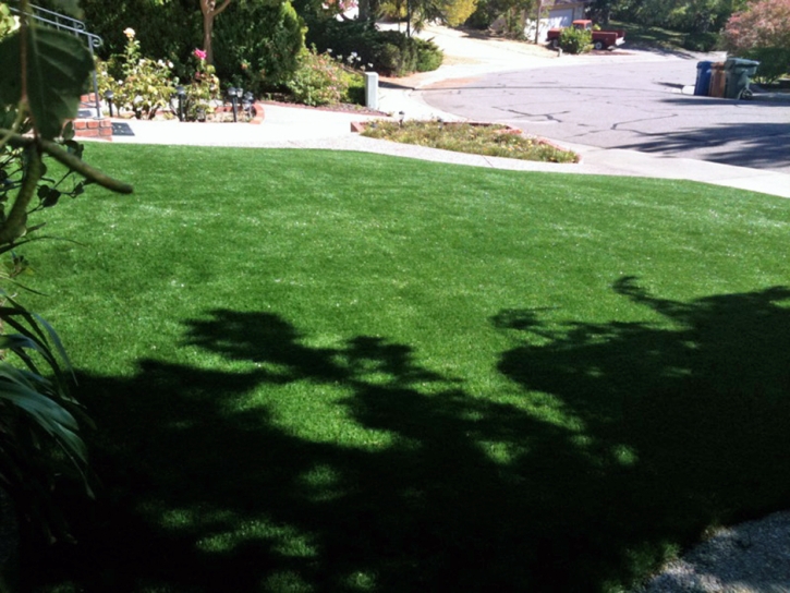 Green Lawn Ridgecrest, California Landscaping Business, Front Yard Landscaping Ideas