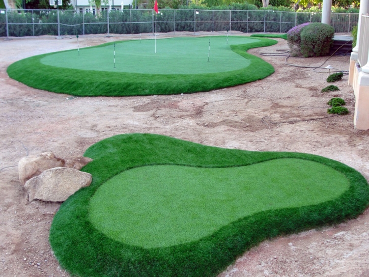 Installing Artificial Grass Beverly Hills, California Design Ideas, Front Yard Landscape Ideas